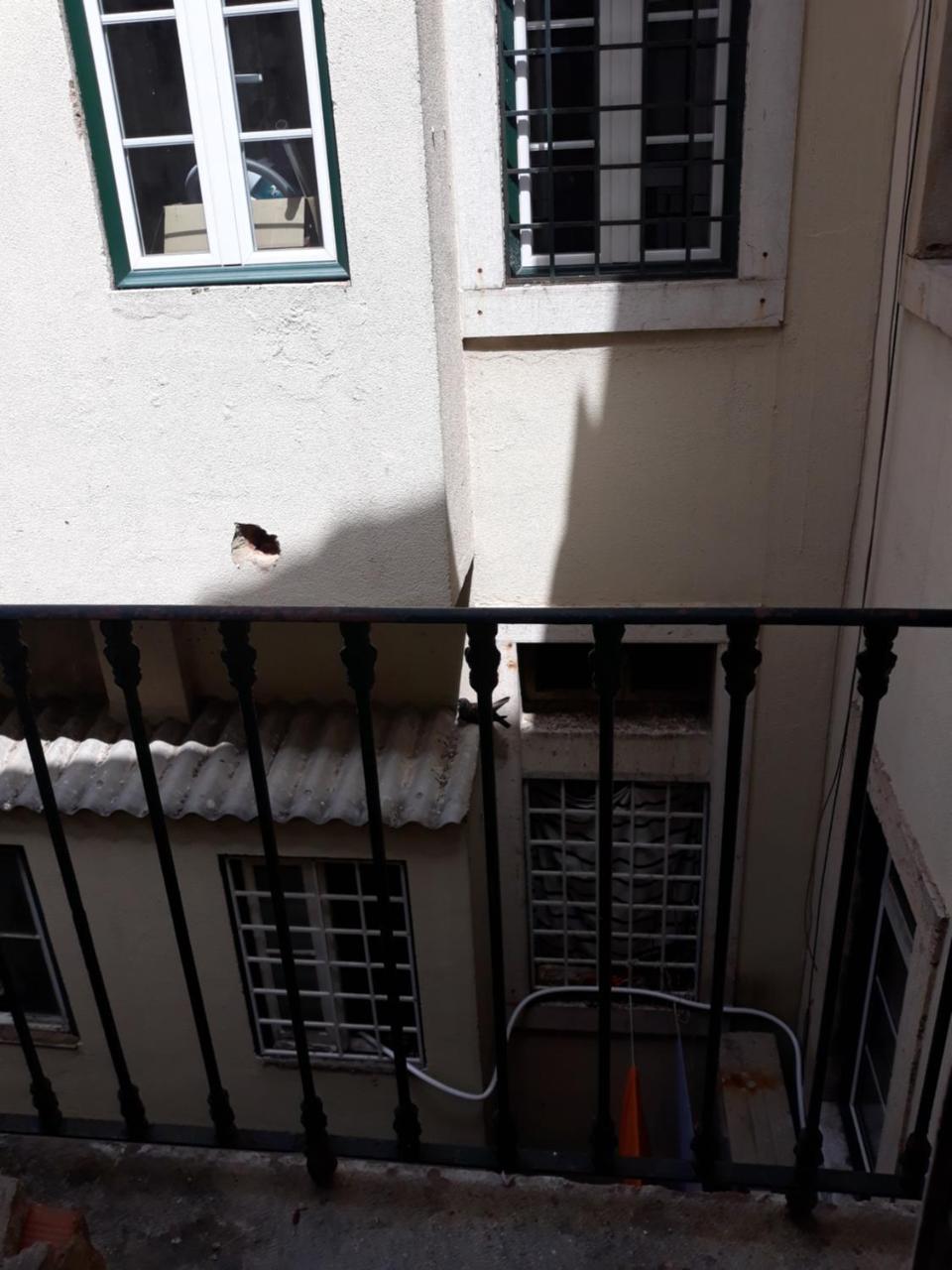 Lisbon Design Hostel エクステリア 写真